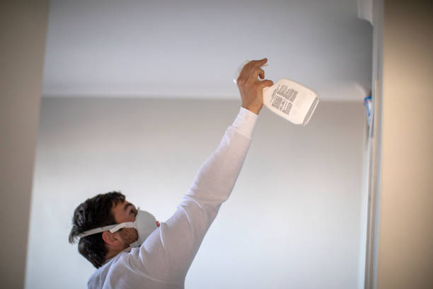 Best Attic Mold Removal  in Oakmont, PA
