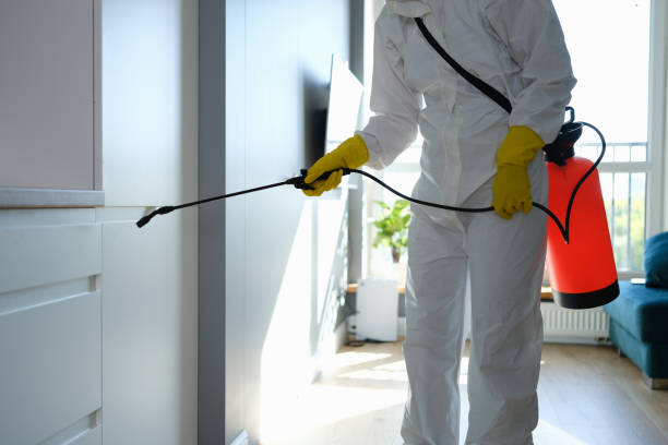 Best Office Mold Removal Services  in Oakmont, PA